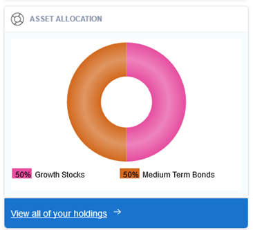 Asset Allocation Pie Chart