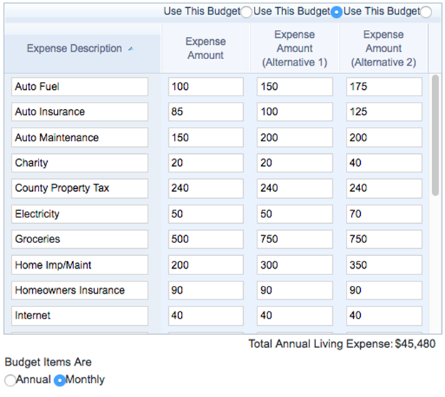 Entering a retirement budget in WealthTrace